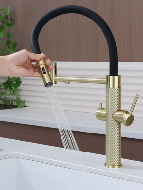 Змішувач на кухню Fabiano FKM 3131 Light Gold