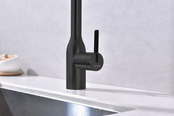 Смеситель для кухни Fabiano FKM 3129 Black Steel